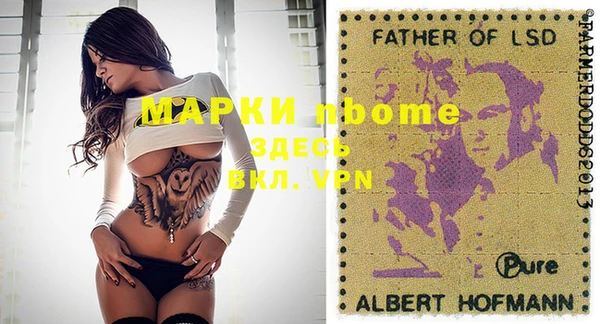 apvp Иннополис
