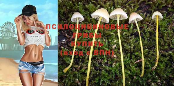прущая мука Каменка