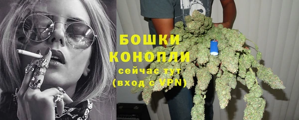 apvp Иннополис