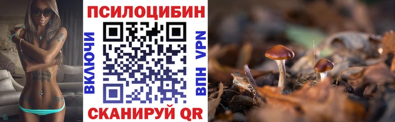 даркнет состав  Элиста  гидра ССЫЛКА  Псилоцибиновые грибы Cubensis  купить наркотики цена 