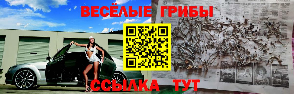 Псилоцибиновые грибы ЛСД  Вход с VPN  Галлюциногенные грибы мухоморы  Элиста 