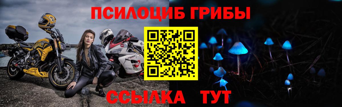Галлюциногенные грибы прущие грибы Элиста