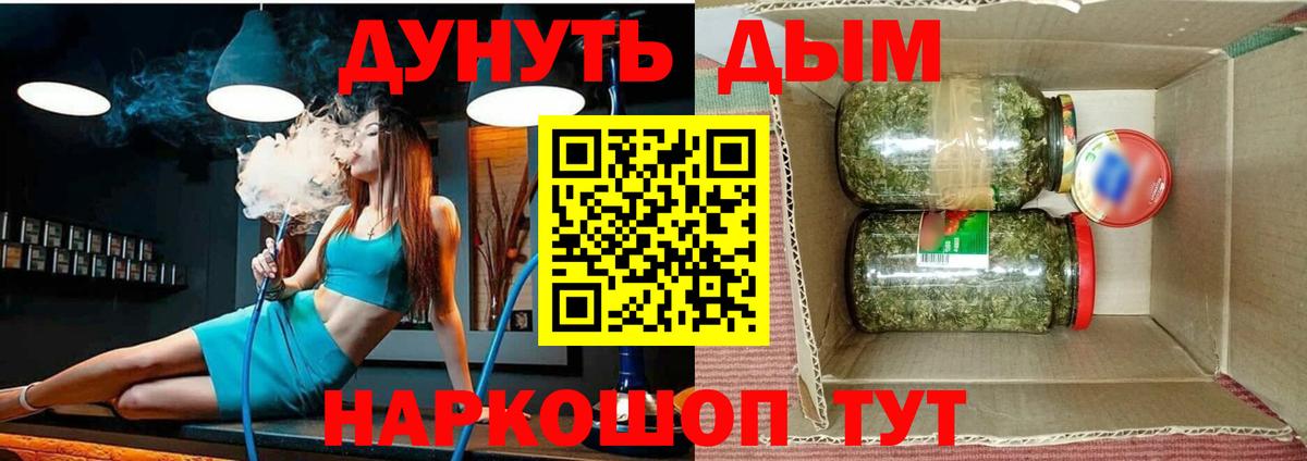 Конопля сатива Элиста
